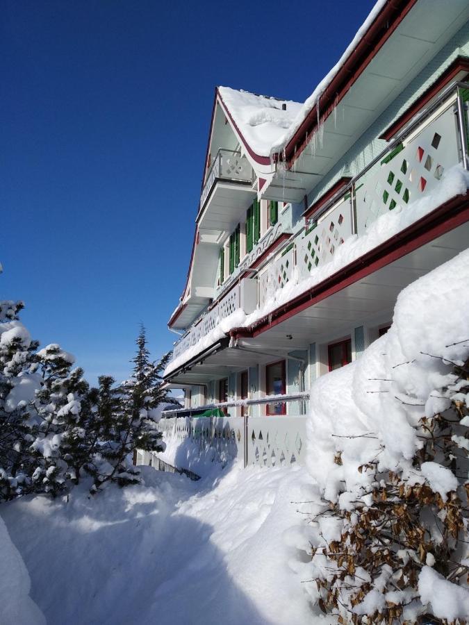 Gasthaus Friedegg Wildhaus Dış mekan fotoğraf